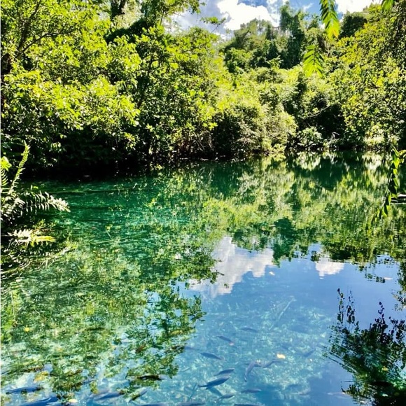 Meet your Posher, Eleinis - Picture 1 of 1